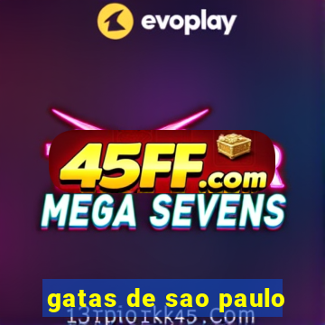 gatas de sao paulo